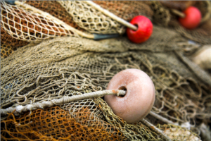 Fishing net