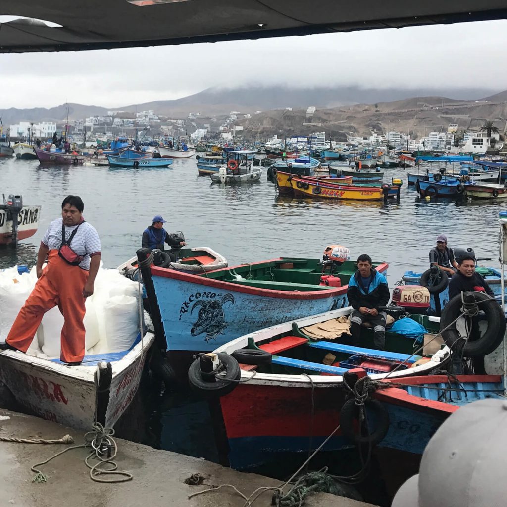 Fishermen on boats at harbor